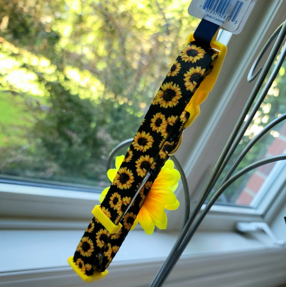 NWT Top Paw Nylon 'Sunflower' Collar for Dogs Size Medium
